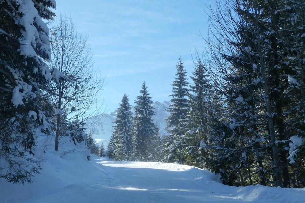 Chalet "Les Arcosses" La Giettaz Oda fotoğraf