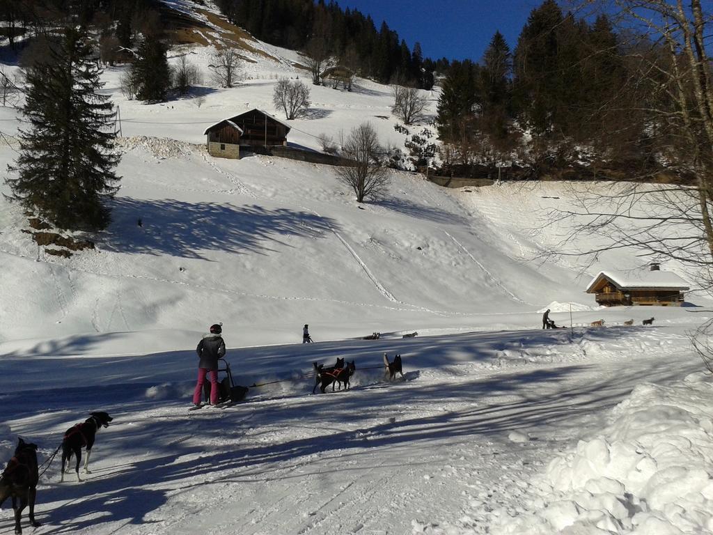 Chalet "Les Arcosses" La Giettaz Oda fotoğraf